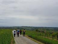 ALLENAMENTO DI NORDIC WALKING