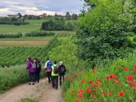 ALLENAMENTO DI NORDIC WALKING
