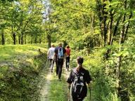 ALLENAMENTO DI NORDIC WALKING