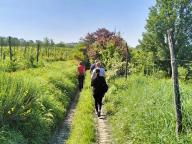 ALLENAMENTO DI NORDIC WALKING
