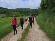 ALLENAMENTO DI NORDIC WALKING