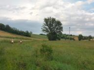 ALLENAMENTO DI NORDIC WALKING
