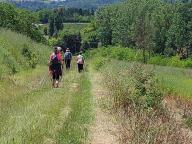 ALLENAMENTO DI NORDIC WALKING