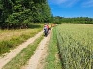 ALLENAMENTO DI NORDIC WALKING