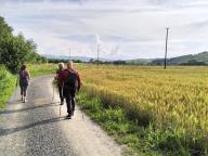 NORDIC WALKING BENESSERE