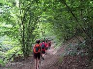 ALLENAMENTO DI NORDIC WALKING