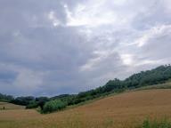 ALLENAMENTO DI NORDIC WALKING