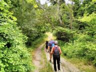 ALLENAMENTO DI NORDIC WALKING
