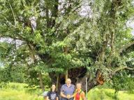 ALLENAMENTO DI NORDIC WALKING