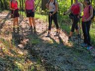 ALLENAMENTO DI NORDIC WALKING