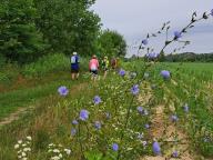 ALLENAMENTO DI NORDIC WALKING