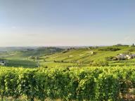 NORDIC WALKING BENESSERE