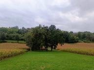 ALLENAMENTO DI NORDIC WALKING