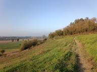 ALLENAMENTO DI NORDIC WALKING