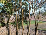 ALLENAMENTO DI NORDIC WALKING