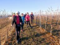 ALLENAMENTO DI NORDIC WALKING