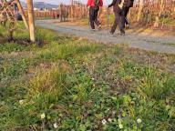 ALLENAMENTO DI NORDIC WALKING