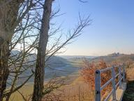 ALLENAMENTO DI NORDIC WALKING