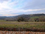 ALLENAMENTO DI NORDIC WALKING