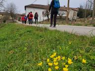ALLENAMENTO DI NORDIC WALKING