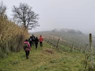 ALLENAMENTO DI NORDIC WALKING
