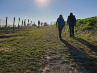 ALLENAMENTO DI NORDIC WALKING