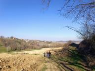 ALLENAMENTO DI NORDIC WALKING