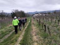 NORDIC WALKING BENESSERE