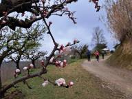 ALLENAMENTO DI NORDIC WALKING