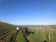 ALLENAMENTO DI NORDIC WALKING