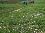 ALLENAMENTO DI NORDIC WALKING