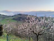 ALLENAMENTO DI NORDIC WALKING