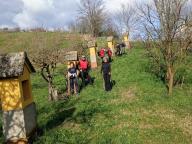 ALLENAMENTO DI NORDIC WALKING