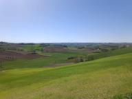ALLENAMENTO DI NORDIC WALKING