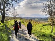 NORDIC WALKING BENESSERE