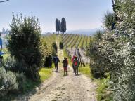 ALLENAMENTO DI NORDIC WALKING