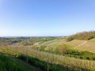 ALLENAMENTO DI NORDIC WALKING