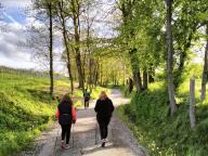 NORDIC WALKING BENESSERE