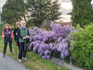 NORDIC WALKING BENESSERE