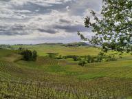 ALLENAMENTO DI NORDIC WALKING