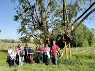 ALLENAMENTO DI NORDIC WALKING