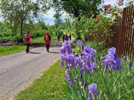 ALLENAMENTO DI NORDIC WALKING